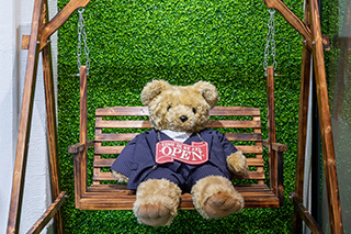 テイラーイグジスト